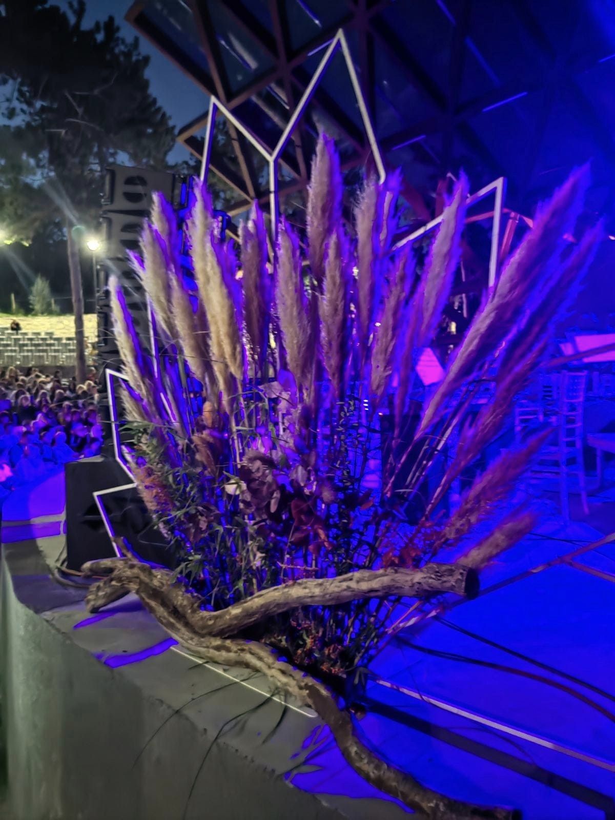 Арка Мая Тила - Image 3